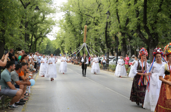 Kako smanjiti broj posjetitelja Dužijance?