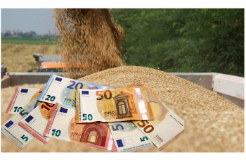 Izravna plaćanja po hektaru u prosjeku 350 eura