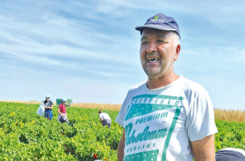 Očuvanje starih sorti slatke paprike