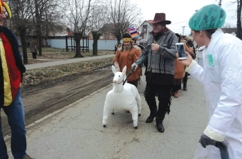 Rad s djecom, novi projekti, karnevali...